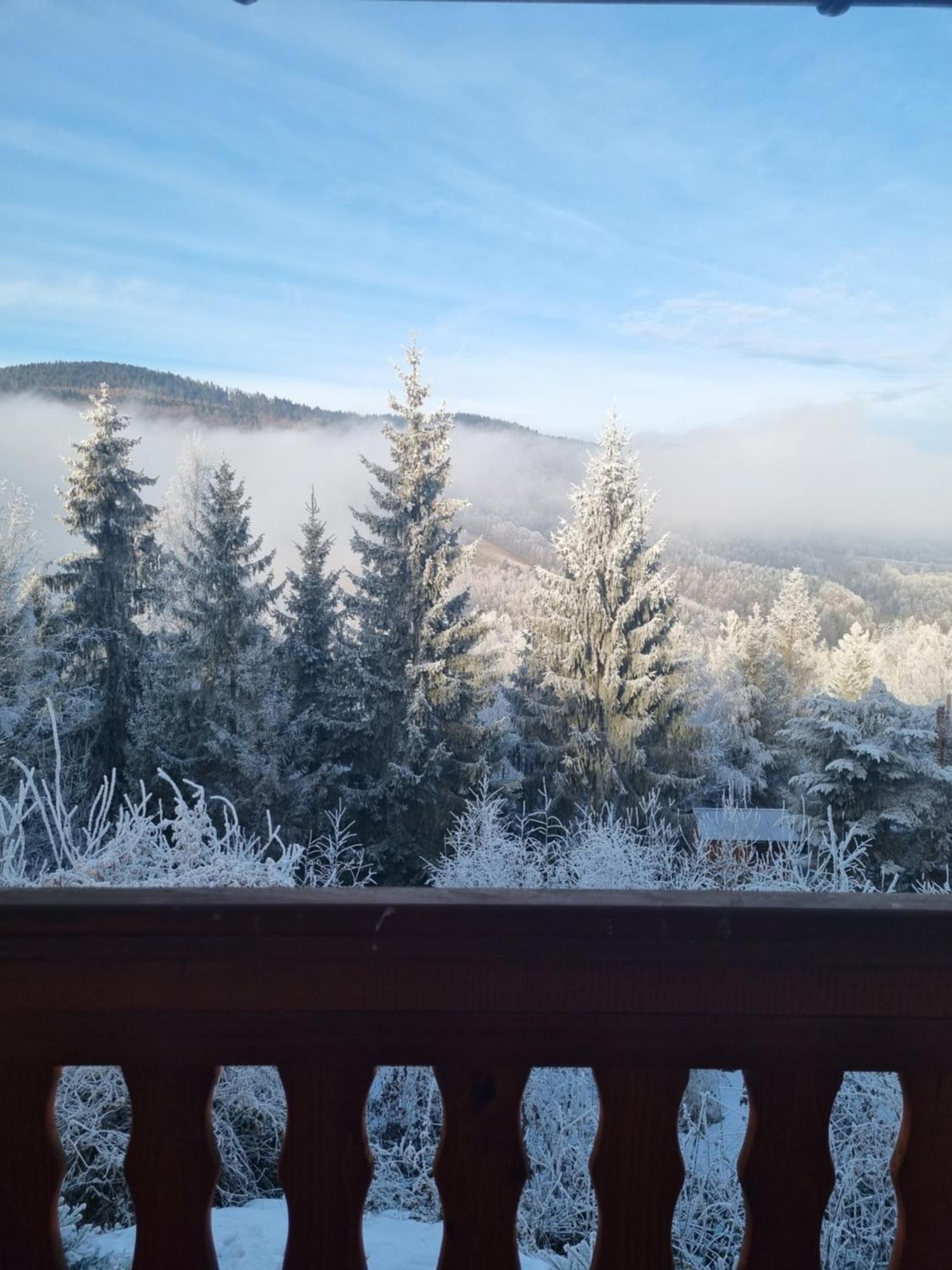 Lodge Linia